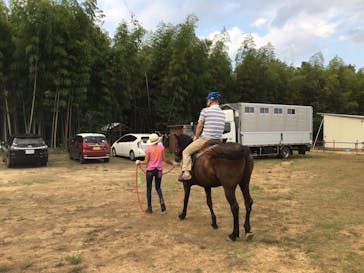 ハッピーホースファームに投稿された画像（2018/9/19）