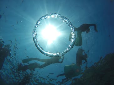 武藤潜水に投稿された画像（2019/5/24）