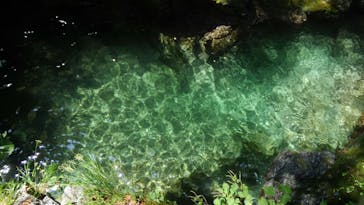 山王アウトドアクラブに投稿された画像（2018/8/5）