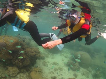 diving&workshop IHANASHI（ダイビングアンドワークショップイハナシ）に投稿された画像（2018/8/9）