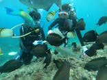 武藤潜水に投稿された画像（2019/5/3）