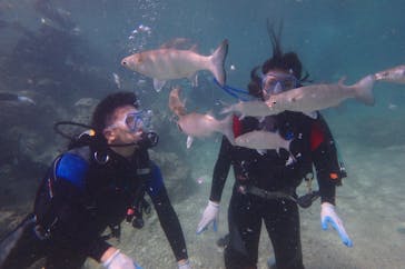 diving&workshop IHANASHI（ダイビングアンドワークショップイハナシ）に投稿された画像（2018/10/19）