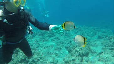 青の洞窟専門店　沖縄ダイビングショップ和に投稿された画像（2018/6/20）