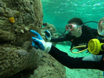 武藤潜水に投稿された画像（2019/2/17）