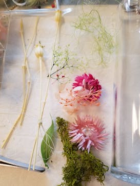 Che'rie（シェリー）に投稿された画像（2018/5/5）