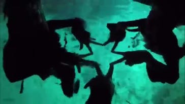 青の洞窟専門店　沖縄ダイビングショップ和に投稿された画像（2018/6/12）