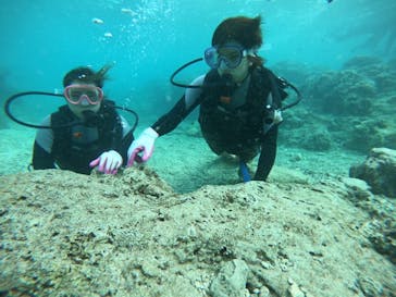 武藤潜水に投稿された画像（2019/4/17）