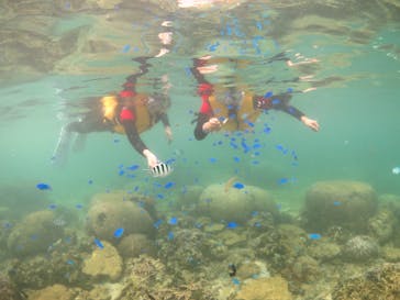 diving&workshop IHANASHI（ダイビングアンドワークショップイハナシ）に投稿された画像（2018/7/28）