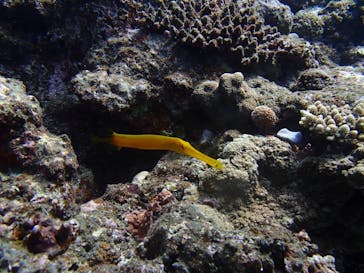 ガイド屋さんに投稿された画像（2018/10/24）