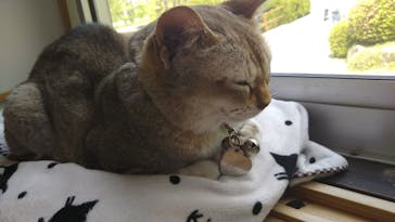 阿蘇カドリー・ドミニオンに投稿された画像（2018/5/5）