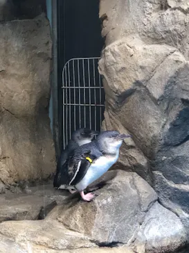 仙台うみの杜水族館に投稿された画像（2019/5/30）