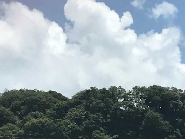 りエコ さまが18 7 30 月に投稿した口コミ アソビュー