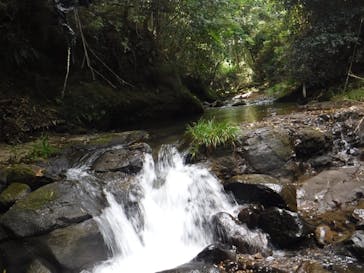 球磨川ラフティングクラブに投稿された画像（2018/9/18）