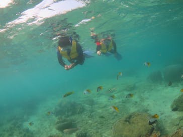 diving&workshop IHANASHI（ダイビングアンドワークショップイハナシ）に投稿された画像（2018/8/10）