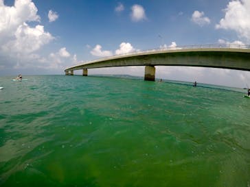 SWELLに投稿された画像（2018/8/19）