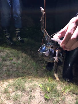 石垣島 ADVENTURE PiPi（イシガキジマアドベンチャーピピ）に投稿された画像（2019/4/18）