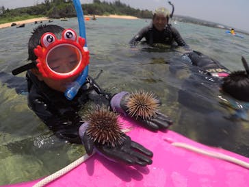 ドロップイン 沖縄に投稿された画像（2018/7/30）