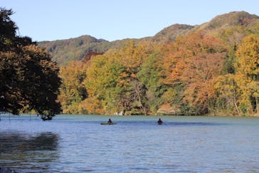 カヌーリゾートたまよどに投稿された画像（2017/11/11）