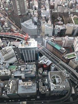 サンシャイン水族館に投稿された画像（2019/3/22）