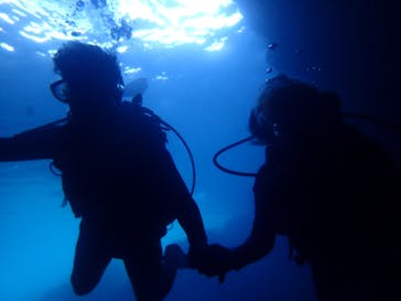 diving&workshop IHANASHI（ダイビングアンドワークショップイハナシ）に投稿された画像（2018/9/23）