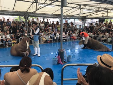 鳥羽水族館に投稿された画像（2019/5/6）