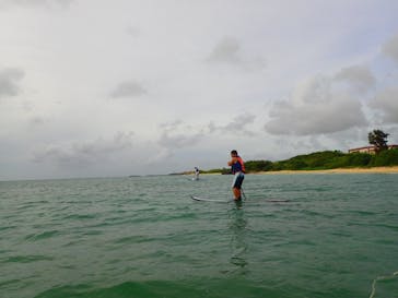 B-nature（ビーネイチャー）に投稿された画像（2017/10/14）