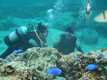 沖縄ダイビングショップシーモールに投稿された画像（2019/2/12）