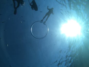 武藤潜水に投稿された画像（2019/5/24）