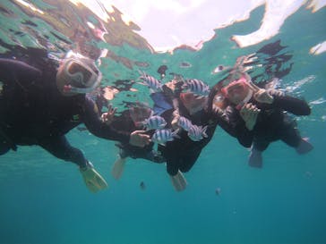 武藤潜水に投稿された画像（2019/6/5）