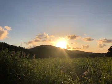 やんばるBBQビアガーデンに投稿された画像（2019/6/8）