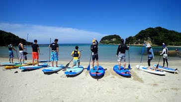 ホワイトウイングに投稿された画像（2018/8/25）