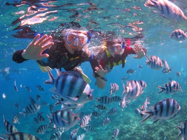 diving&workshop IHANASHI（ダイビングアンドワークショップイハナシ）に投稿された画像（2018/10/26）