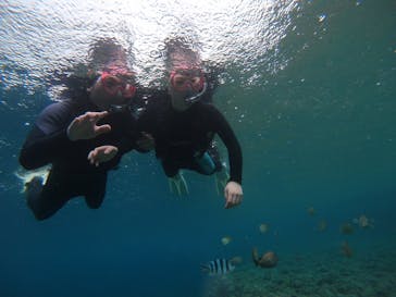 武藤潜水に投稿された画像（2019/5/15）