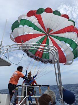 Sea World（シーワールド）に投稿された画像（2018/8/3）