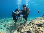 武藤潜水に投稿された画像（2019/5/14）