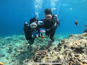 武藤潜水に投稿された画像（2019/5/13）