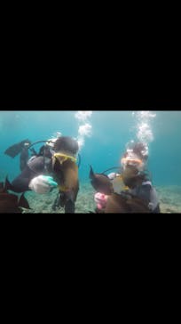 青の洞窟専門店　沖縄ダイビングショップ和に投稿された画像（2018/6/5）