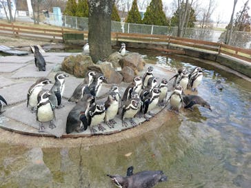 那須どうぶつ王国に投稿された画像（2017/11/12）