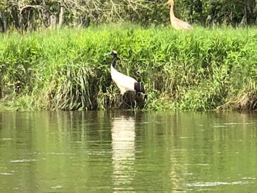 レイクサイドとうろに投稿された画像（2018/8/6）