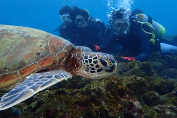 屋久島自然案内に投稿された画像（2018/4/3）