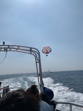 Sea World（シーワールド）に投稿された画像（2019/3/12）