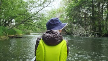 Matatabi（マタタビ）に投稿された画像（2019/6/8）