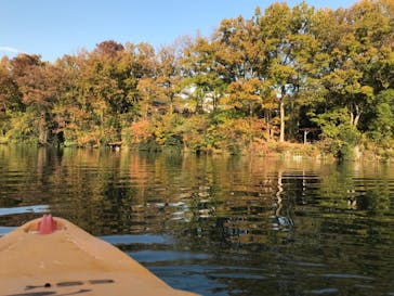 カヌーリゾートたまよどに投稿された画像（2018/12/18）