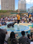 サンシャイン水族館に投稿された画像（2019/5/2）