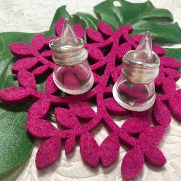 銀のイルカに投稿された画像（2019/3/19）