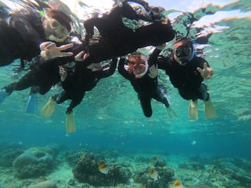 武藤潜水に投稿された画像（2019/4/15）