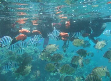 沖縄ダイビングショップシーモールに投稿された画像（2019/4/23）