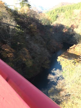 BUNGY JAPAN猿ヶ京バンジーに投稿された画像（2018/11/15）