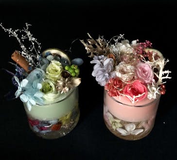 ずこうしつ〜sugamo〜に投稿された画像（2019/4/25）