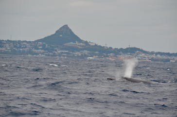 Sea World（シーワールド）に投稿された画像（2019/2/12）